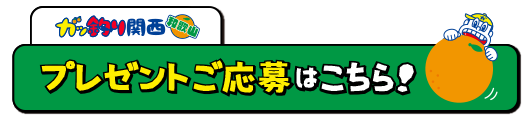 ガッ釣り関西　テレビ和歌山